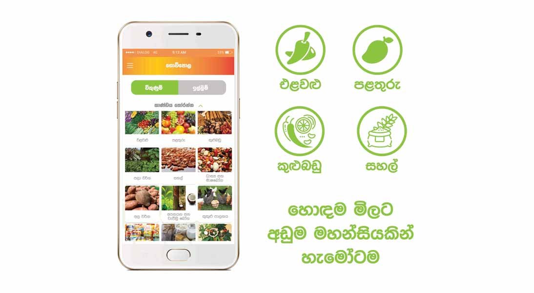 Geo Goviya app launched for over 1 Mn paddy fields/farmers