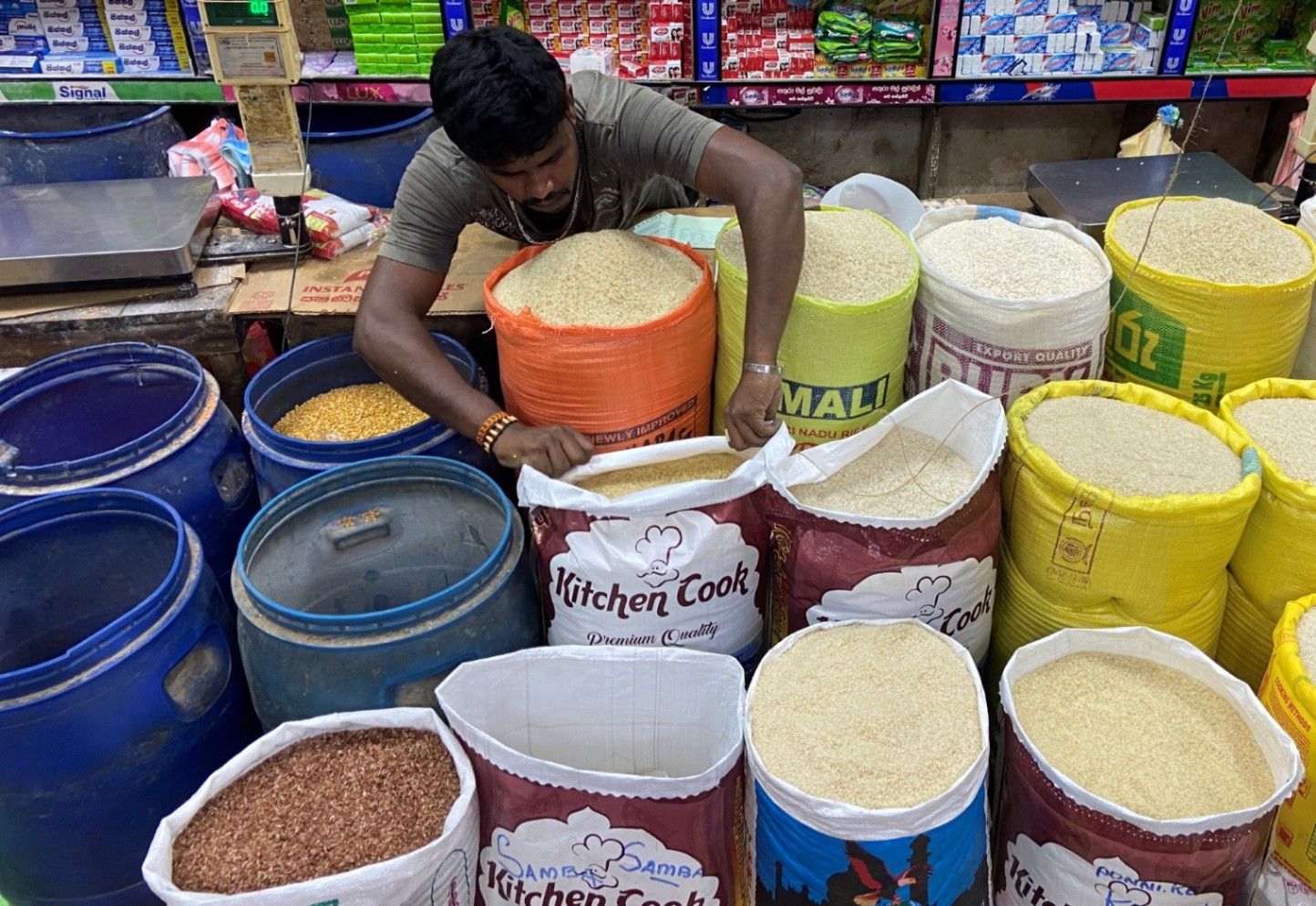 Skyrocketing prices and shortages: Rice pot boils again